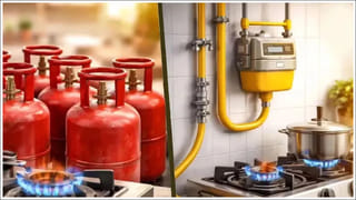 D-Mart Secrets: డి-మార్ట్ షాపింగ్ సీక్రెట్స్.. రూ.5000 బిల్లును రూ.2000కు తగ్గించుకునే సూపర్ ట్రిక్స్!