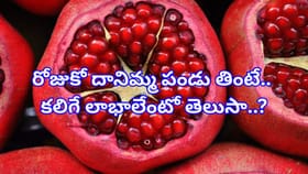 బరువు తగ్గాలన్నా,గ్లాసీ స్కిన్ కావాలన్నా, రోజుకో దానిమ్మ తింటే