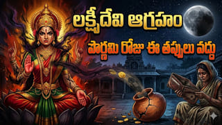 మనీ ప్లాంట్ ఉన్నా ఇంట్లో ఉన్నా ఇంట్లో అప్పుల బాధలేనా? ఇలా చేయండి!