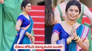 చెత్తబుట్టలో వేసే దానిమ్మ తొక్కల వెనుక ఇంత పెద్ద కథ ఉందా.. ఈ నిజాలు తెలిస్తే నోరెళ్లబెడతారు..