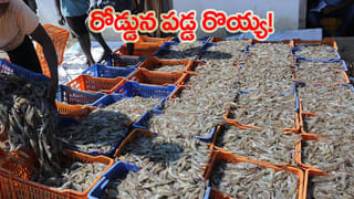 ఐఫోన్‌ కొనకుండా.. EMI డబ్బు ఇలా ఇన్వెస్ట్‌ చేస్తే రూ.17 లక్షలు మీవే! AI చెప్పిన అద్భుత ప్లాన్‌