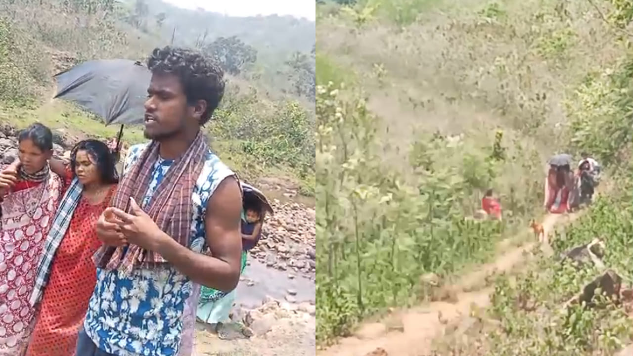 Andhra Pradesh: దట్టమైన అడవిలోనే.. నిండు గర్భిణికి ఎంత కష్టమొచ్చే.. వాళ్లే గనుక లేకుంటే.. వీడియో...