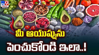 Snake Plant: ఇంట్లో స్నేక్ ప్లాంట్ పెంచుతున్నారా? ఏ దిశలో ఉంచాలో తెలియకపోతే లాభం కంటే నష్టమే ఎక్కువ