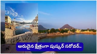 Vastu Tips: ఇంట్లో ఈ ఫోటోలు పెట్టుకుంటే అదృష్టం, ఐశ్వర్యం మీ సొంతం..!