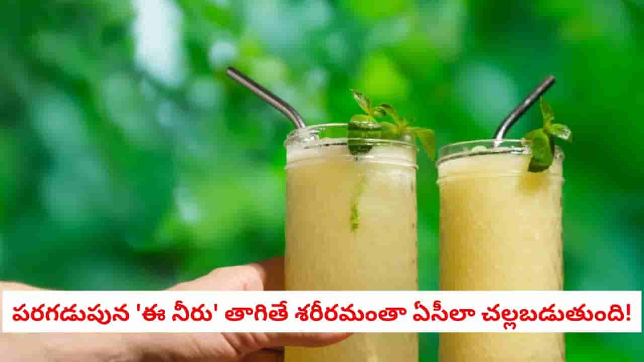 Summer Health Drinks: ఎండకి కడుపు మండుతోందా? పరగడుపున ఈ నీరు తాగితే శరీరమంతా ఏసీలా చల్లబడుతుంది!