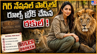 Pooja Hegde: పూజా హెగ్డే కెరీర్‌కు అదొక్కటే ఆప్షన్