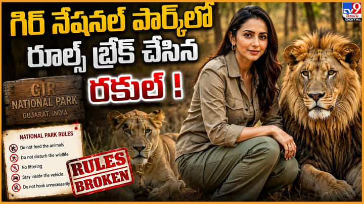 Rakul Preet Singh: గిర్ టైగర్ రిజర్వ్ ఫారెస్ట్లో రూల్స్ బ్రేక్ చేసిన రకుల్ Rakul Preet Singh: గిర్ టైగర్ రిజర్వ్ ఫారెస్ట్లో రూల్స్ బ్రేక్ చేసిన రకుల్