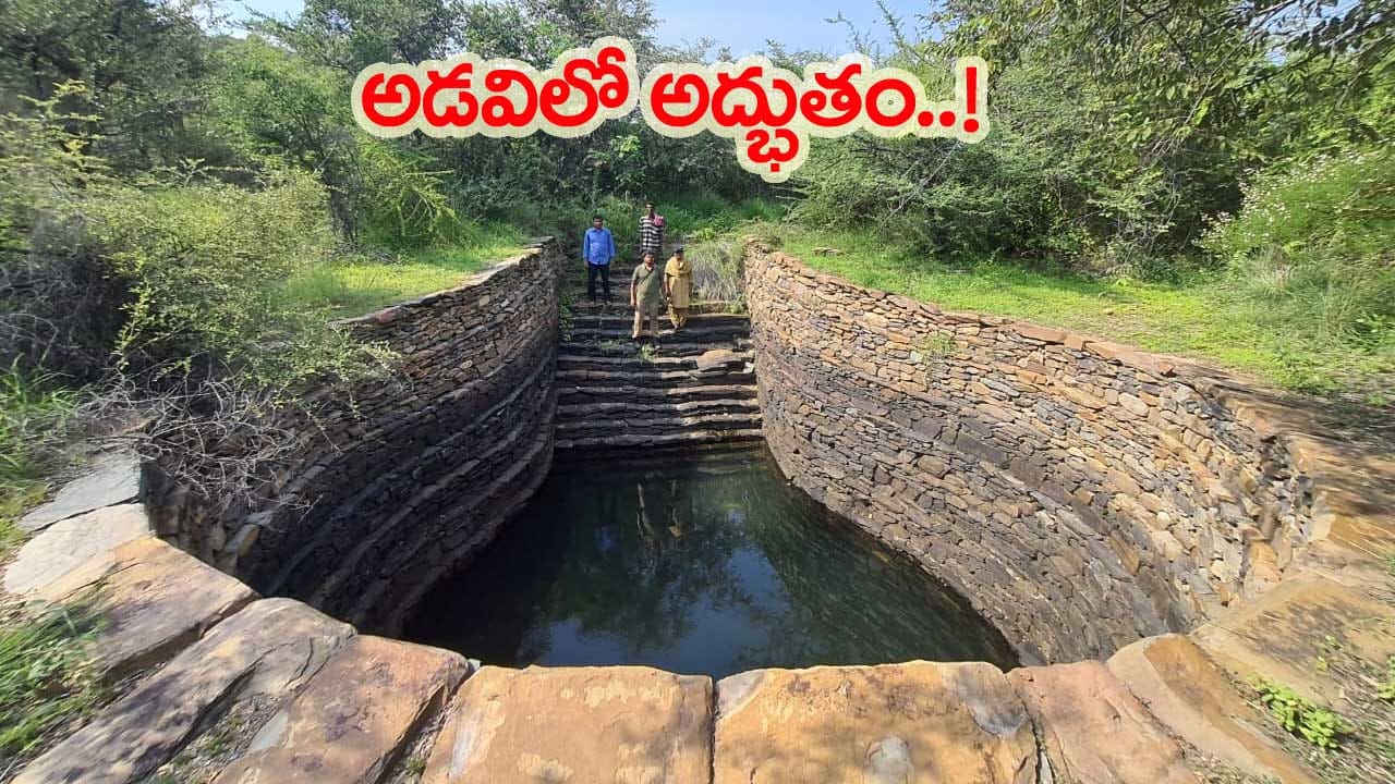 అభయారణ్యంలో అపురూప కట్టడం! బయటపడ్డ శంకువు ఆకారపు బావి.. అసలు రహస్యం ఇదే!