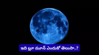 ఒక్క ముళ్ల పంది శరీరంపై ఎన్ని వేల ముళ్లు ఉంటాయో తెల్సా..? ఇది భలే ఈతగాడు కూడా