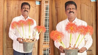May Flower: కరోనా వైరస్‌లా కనిపించే ఈ పుష్పాల ప్రత్యేకత ఏంటో మీకు తెలుసా?