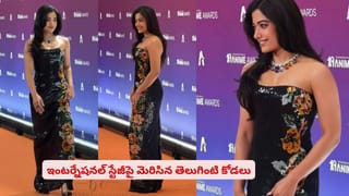పెద్ది మ్యూజిక్ లాంచ్‌లో మెరిసిన అందాల తార.. సంప్రదాయ లుక్‌లో స్టార్ హీరోయిన్‌