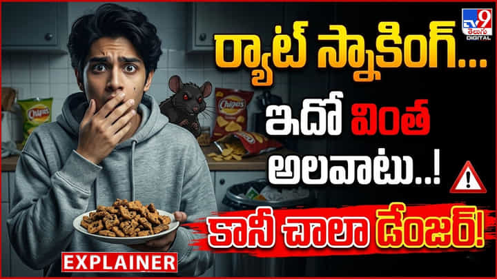 ర్యాట్ స్నాకింగ్... ఇదో వింత అలవాటు..! కానీ చాలా డేంజర్! ర్యాట్ స్నాకింగ్... ఇదో వింత అలవాటు..! కానీ చాలా డేంజర్!