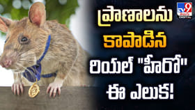 ప్రాణాలను కాపాడిన.. రియల్‌ 