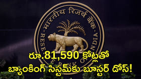 రూ.81,590 కోట్లతో బ్యాంకింగ్‌ సిస్టమ్‌కు బూస్టర్‌ డోస్‌!