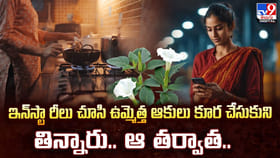 ఇన్‌స్టా రీల్ చూసి ఉమ్మెత్త ఆకులు కూర చేసి తిన్నారు.. ఆ తర్వాత