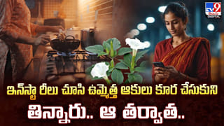 వేసవి వేడికి.. ఏసీ లేకుండానే ఇల్లంతా చల్లగా