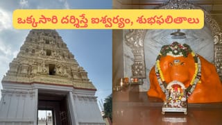 పిసినారి చెట్టు కథ.. ప్రకృతిని కాపాడితే అది తిరిగి మనల్ని ఎలా కాపాడుతుందో తెలుసుకోండి