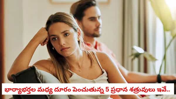 Relationship Tips: మీ వైవాహిక జీవితంలో ఈ లక్షణాలు ఉంటే విడాకులు ఖాయం.. వెంటనే సరిదిద్దుకోండి!