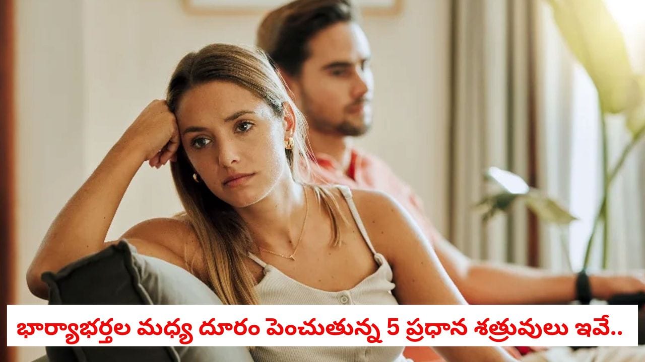 Relationship Tips: మీ వైవాహిక జీవితంలో ఈ 5 లక్షణాలు ఉంటే విడాకులు ఖాయం.. వెంటనే సరిదిద్దుకోండి!