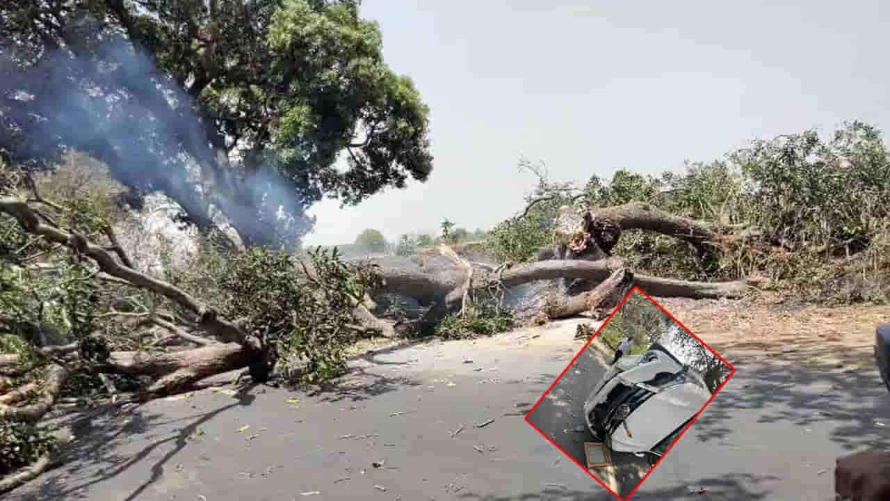 రైతన్నలు ఇలాంటి పని అస్సలు చేయొద్దు.. జర్రుంటే ఓ కుటుంబం మొత్తం.. వీడియో