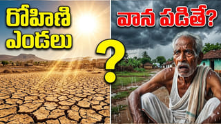 ఎడారిలా మారిన కొల్లేరు.. ఆకలితో అలమటిస్తున్న విదేశీ పక్షులు