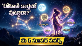 రోహిణి కార్తెలో పుట్టారా? మీకున్న 5 సూపర్ పవర్స్ తెలిస్తే షాకే