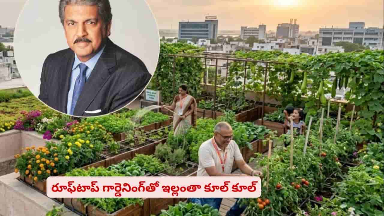 ACల అవసరం లేకుండానే ఇల్లు కూల్గా ఉండాలా..! ఈ పని చేస్తే చల్లదనమే ఇక