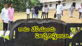 రక్తపింజరతో తస్మాత్ జాగ్రత్త..