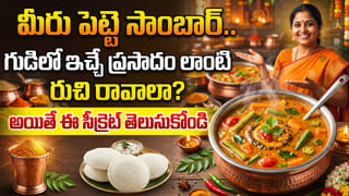 వేసవిలో చికెన్, గుడ్లు, చేపలు తింటే ఒంట్లో వేడి చేస్తుందా..? అపోహలు కాదు నిపుణులు చెబుతున్న అసలు వాస్తవాలు ఇవే..