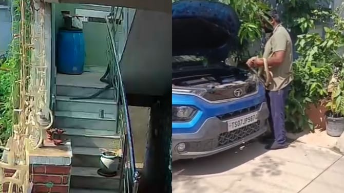 పాము మెట్లు ఎక్కడం ఎప్పుడైనా చూశారా?.. ఇదిగో వీడియో