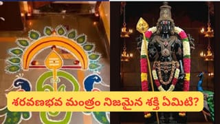 ఈ వస్తువులు ఎవరికీ గిఫ్ట్‌గా ఇవ్వకండి.. పెద్ద సమస్యలు రావచ్చు!