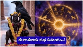 రేవతి నక్షత్రంలోకి శని ప్రవేశం.. ఏ రాశి వారికి ఇది శుభప్రదం..