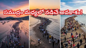 రా రమ్మంటూ రహదారి వేస్తున్నసముద్రం! రెండుగా విడదీస్తూ మాయా మార్గం