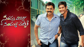 'సీతమ్మ వాకిట్లో సిరిమల్లె చెట్టు'లో పెద్దోడు,చిన్నోడు పేర్లు ఇవే