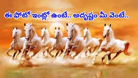 ఇలాంటి ఏడు గుర్రాల ఫోటో ఇంట్లో ఉంటే అదృష్టం మీ వెంటే,అష్టఐశ్వర్యం