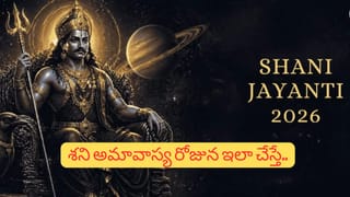 Vastu Tips: ఇంట్లో తాబేలు విగ్రహం ఏ దిశలో ఉంచాలి? అదృష్టం కలుగుతుందా?