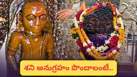 పేదవాడిని రాజుగా మార్చే శని దేవుని శక్తి! తప్పక దర్శించాల్సిన ..