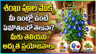 AC vs Air Cooler: ఏసీ vs ఎయిర్ కూలర్.. ఆరోగ్యానికి ఏది బెస్ట్‌.. డాక్టర్స్‌ ఏం చెబుతున్నారు!