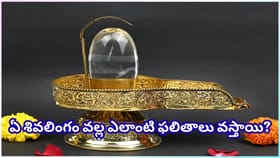 ఇంట్లో శివలింగం పెట్టేముందు ఈ నియమాలు తెలుసుకోండి.. లేదంటే శివదోష