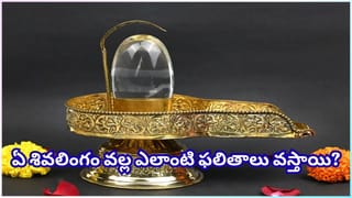 Astrological Tips: మూడేళ్లకు ఒకసారే వచ్చే అత్యంత పవిత్రమైన ‘పద్మినీ ఏకాదశి’.. ఈ పరిహారాలు చేస్తే తిరుగుండదు!