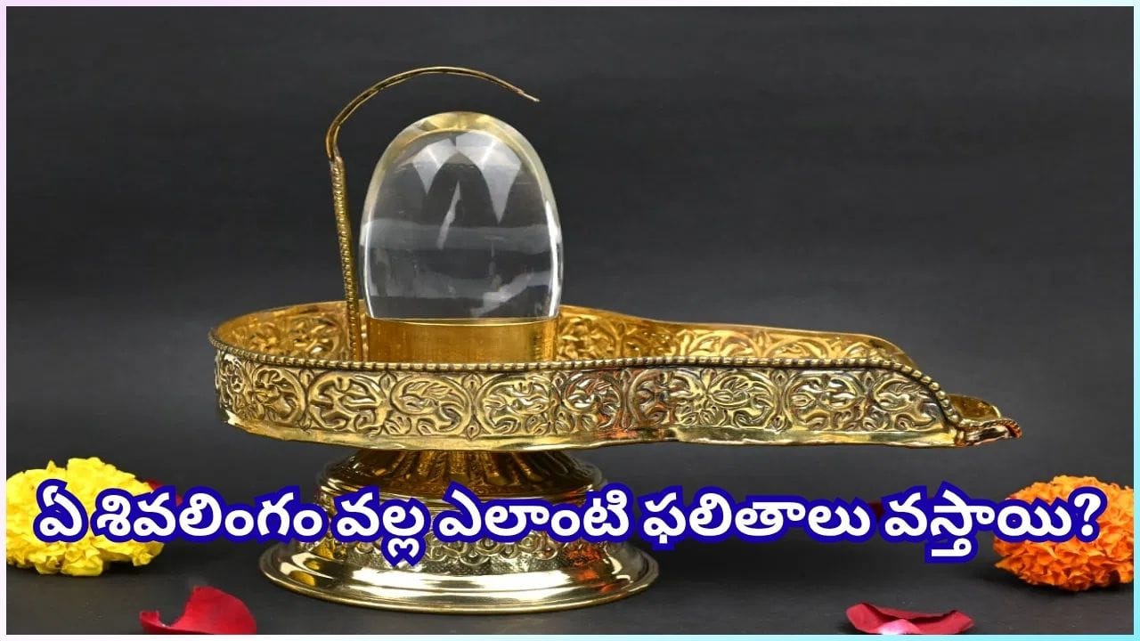 ఇంట్లో శివలింగం పెట్టేముందు ఈ నియమాలు తెలుసుకోండి.. లేదంటే శివదోషం తప్పదట!