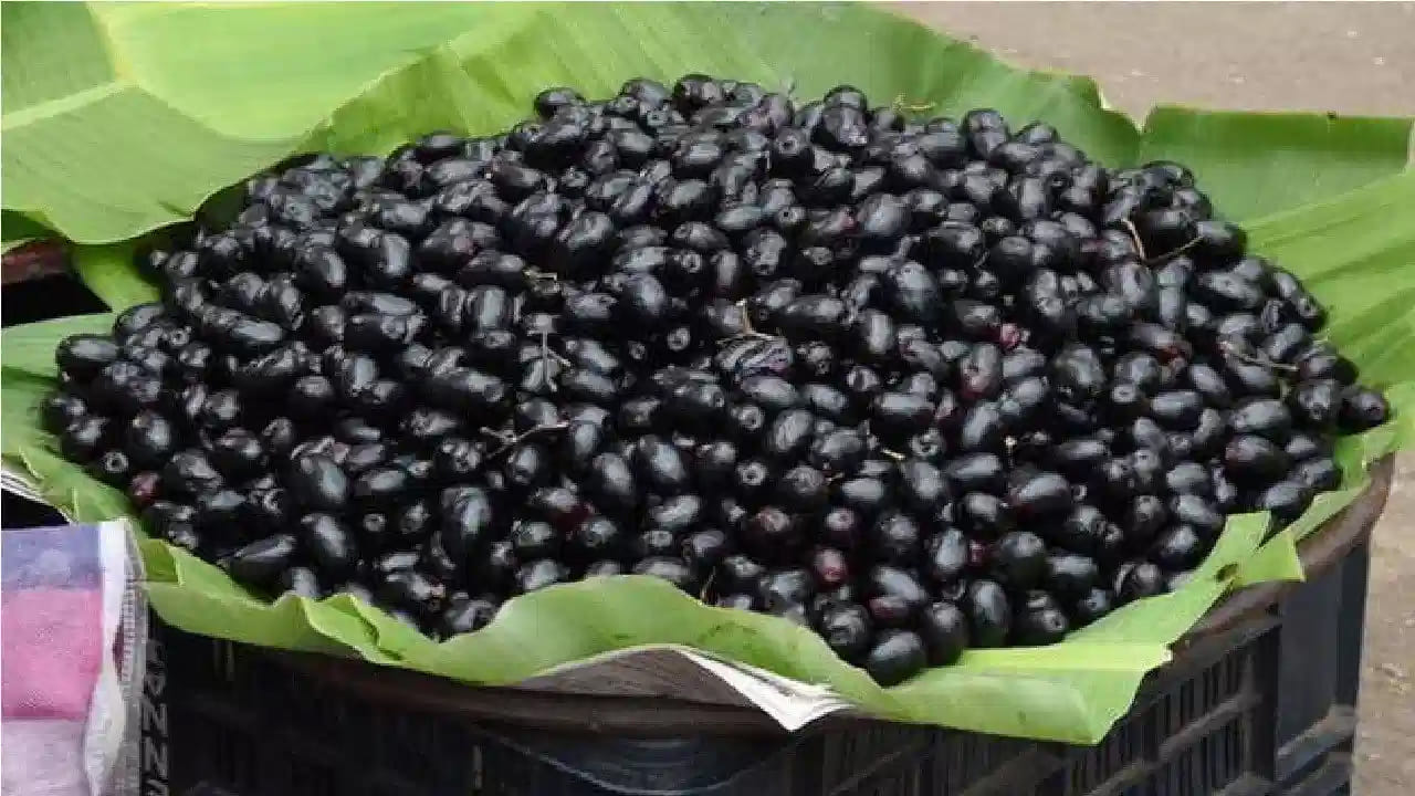 Side Effects Of Jamun Fruit