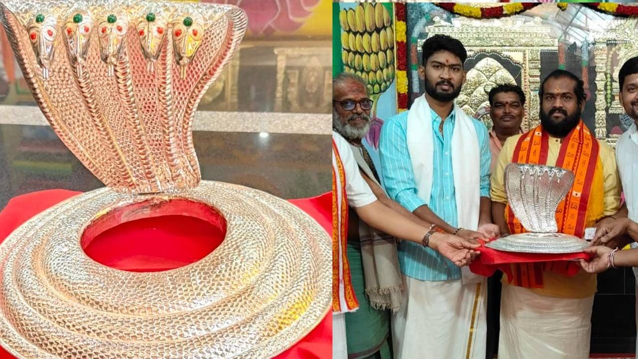 శ్రీశైలం మల్లన్న దేవస్థానానికి వెండి నాగాభరణం విరాళంఅందించారు. ఐదు శిరస్సులతో కూడిన నాగాభరణం 2 కేజీల 610 గ్రాములు అన్నమయ్య జిల్లా మదనపల్లికి చెందిన దినేష్ కుటుంబ సభ్యులు వెండి నాగాభరణాన్ని విరాళంగా అందజేశారు. 
