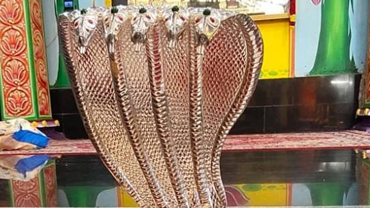మనం ఇప్పటి వరకు ఎన్నో ఆభరణాలను చూసాము. అయితే, ఇది వాటి కన్నా చాలా విలువైనది. శ్రీశైలం మల్లన్నకు ఐదు శిరస్సులతో కూడిన  నాగాభరణం మీరు ఒకసారి చూస్తే.. కళ్ళకు అతుకోవాల్సిందే. అంత అద్భుతంగా ఉంది. 