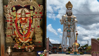 మీ మల్లెచెట్టు చిన్నదైనా కొమ్మకొమ్మకి విపరీతంగా పూలు పూయాలంటే ఇలా చేయండి