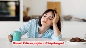 రోజంతా నీరసంగా, బద్ధకంగా గడుపుతున్నారా?