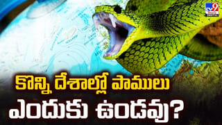 కింద పడ్డ మామిడికాయలు ఏరుకుంటే.. అంత పెద్ద శిక్షా?