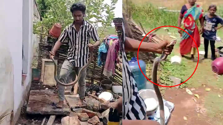 ఉక్కపోతతో ఇళ్లలోకి నాగుల ఎంట్రీ.. నంద్యాలలో భారీ కోబ్రా కలకలం ఉక్కపోతతో ఇళ్లలోకి నాగుల ఎంట్రీ.. నంద్యాలలో భారీ కోబ్రా కలకలం