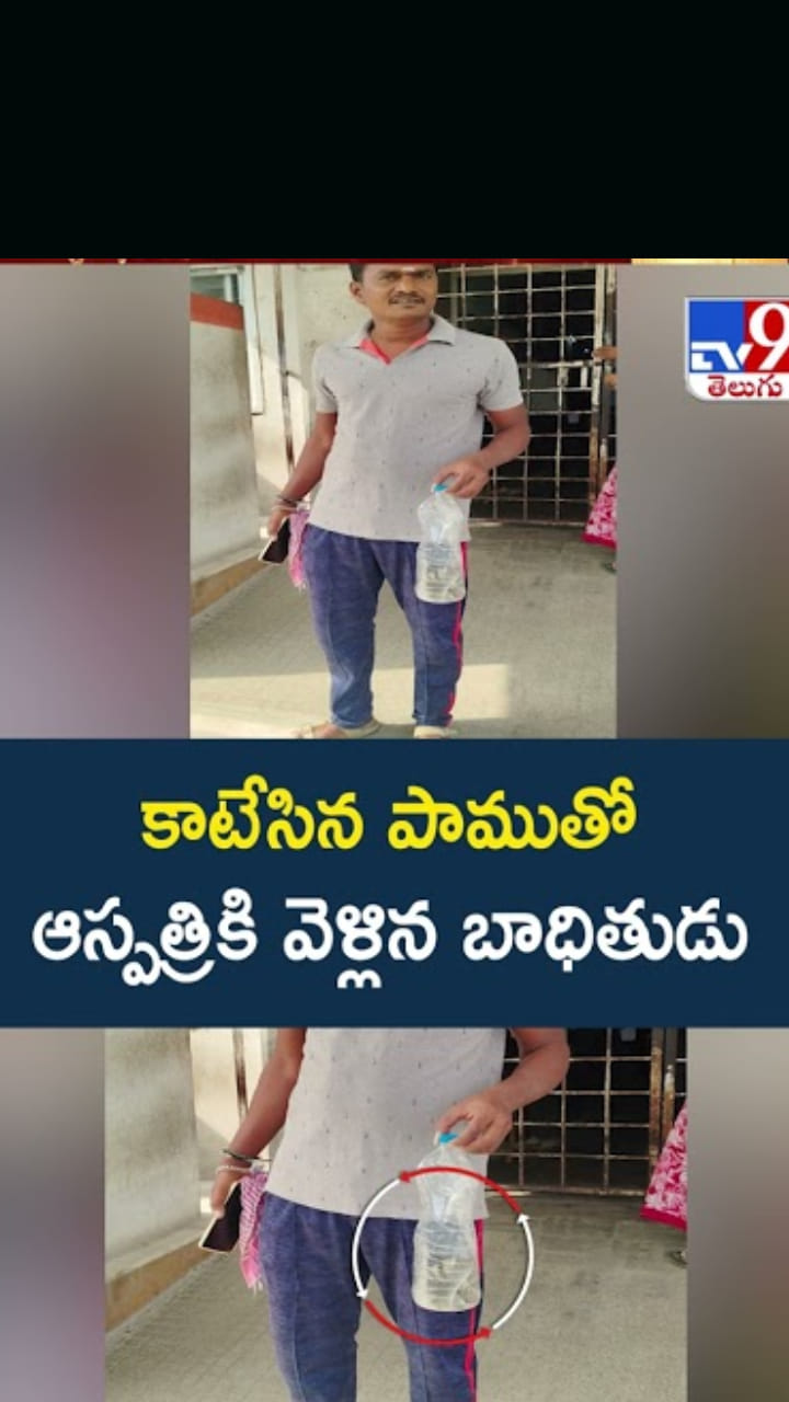 వామ్మో.. కాటేసిన పాముతో ఆస్పత్రికి వెళ్లిన బాధితుడు