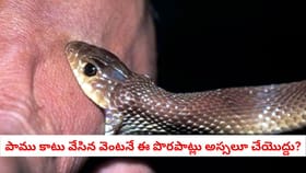 పాము కాటు వేసిన వెంటనే ఈ పొరపాట్లు అస్సలూ చేయొద్దు?